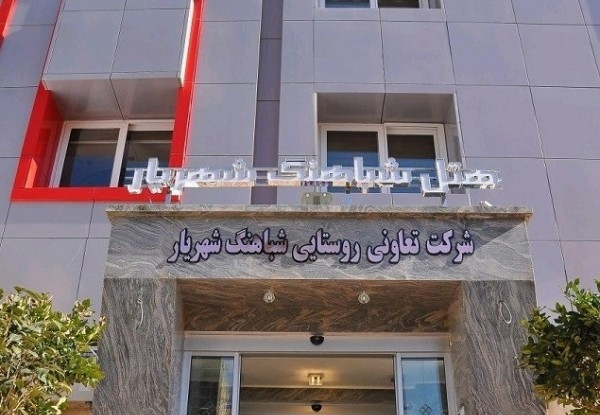 گل گندم شباهنگ مشهد