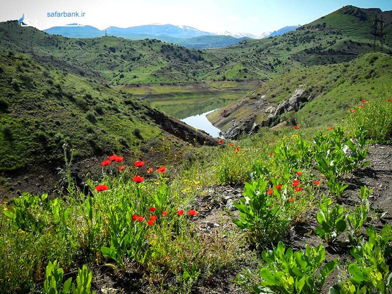 کوه های آراگاتس