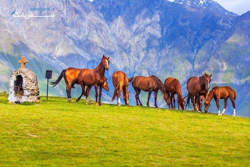 سفر به گرجستان