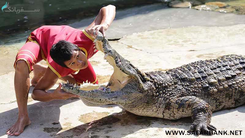باغ وحش و پرورش تمساح بانکوک