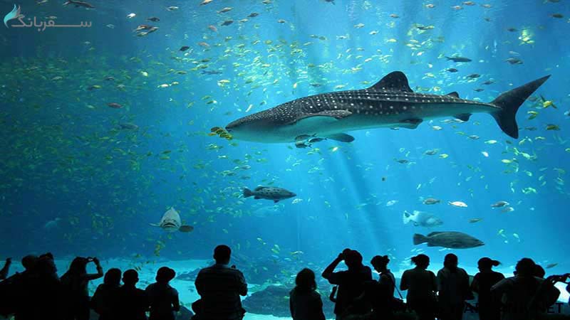 آکواریوم آنتالیا (Antalya Aquarium)