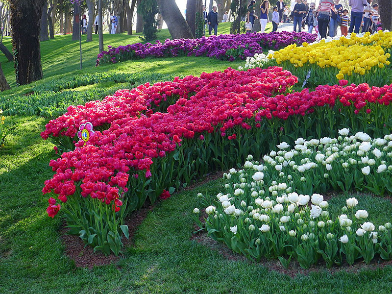 پارک امیرگان استانبول