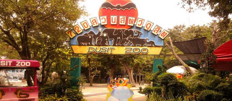 دوزیت منحصر به فرد ترین باغ وحش بانکوک 