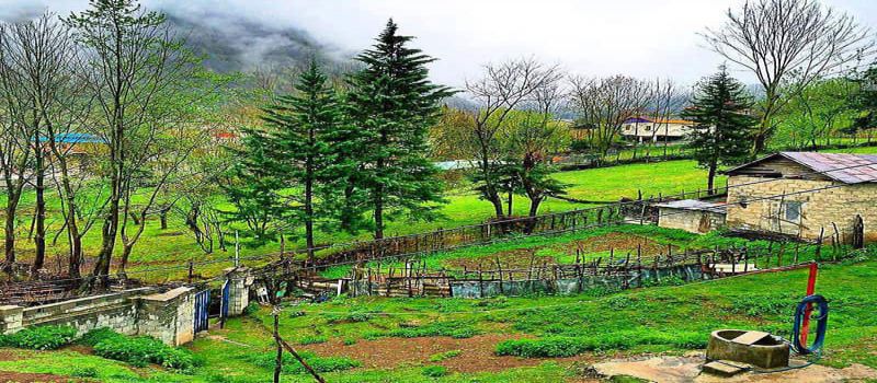 روستای لاویج